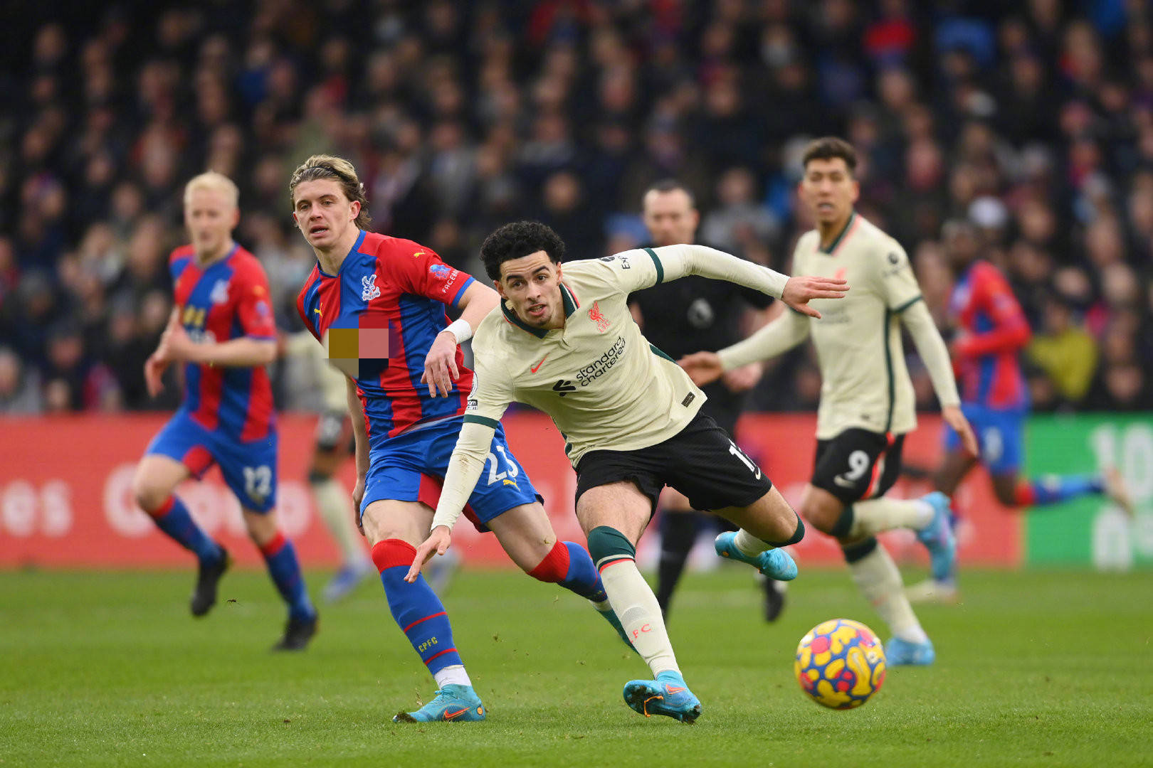 从数据和实 从数据和实